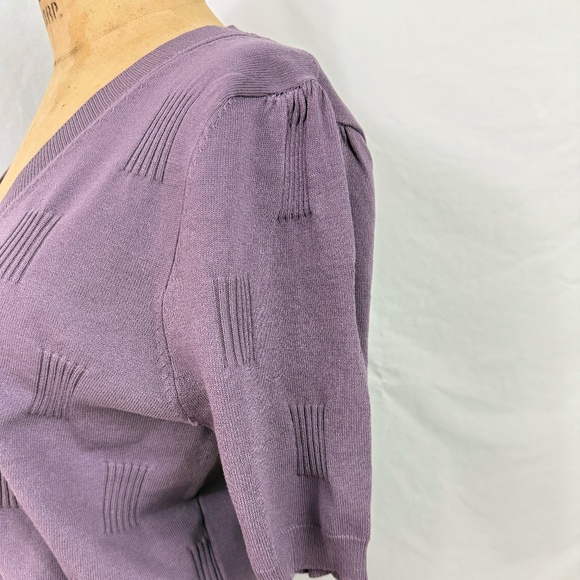 NWT Arach & Cloz Purple Short Sleeve V-Neck Sweater With Texture Details - Picture 4 of 11